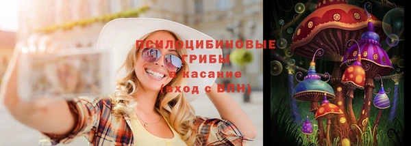 ПСИЛОЦИБИНОВЫЕ ГРИБЫ Михайловск