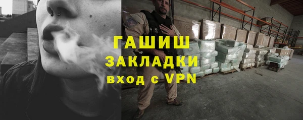 прущие грибы Михайлов