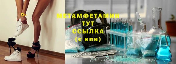 прущие грибы Михайлов
