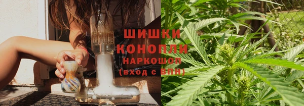 ПСИЛОЦИБИНОВЫЕ ГРИБЫ Михайловск