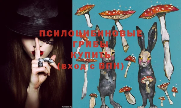 бошки Новозыбков