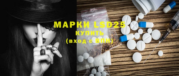 прущие грибы Михайлов