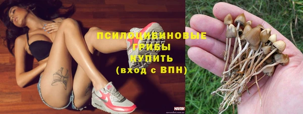 ПСИЛОЦИБИНОВЫЕ ГРИБЫ Михайловск